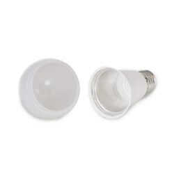 Diversion Safe Light Bulb