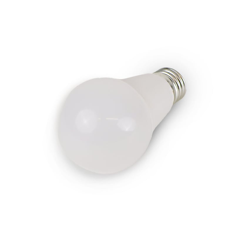 Light Bulb with Secret Compartment